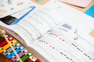 九游jiuyou-中小学体育课安全教育实施现状研究，体育课堂安全背景下的小学体育课现状